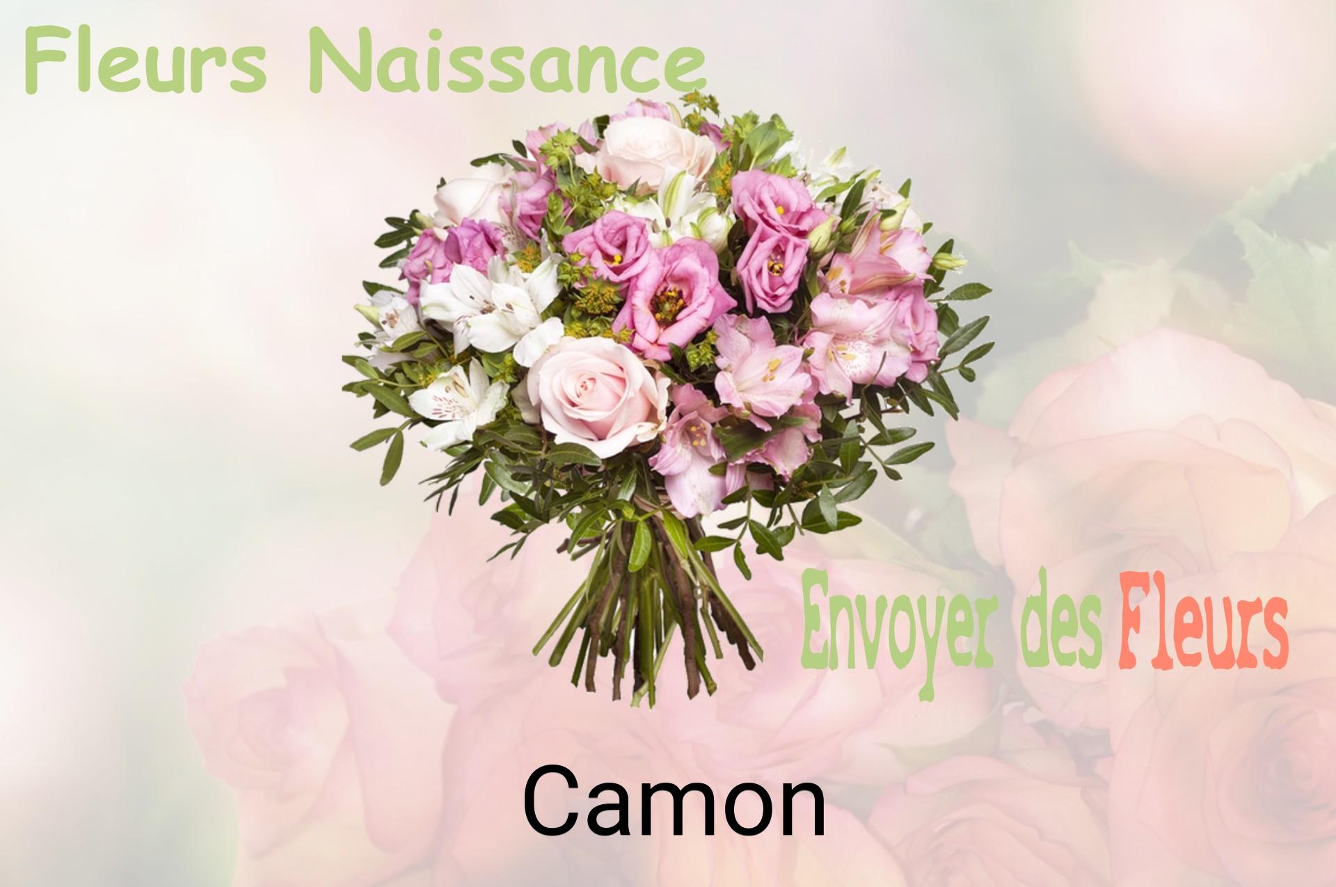 Bouquet de fleurs de naissance livré à Camon